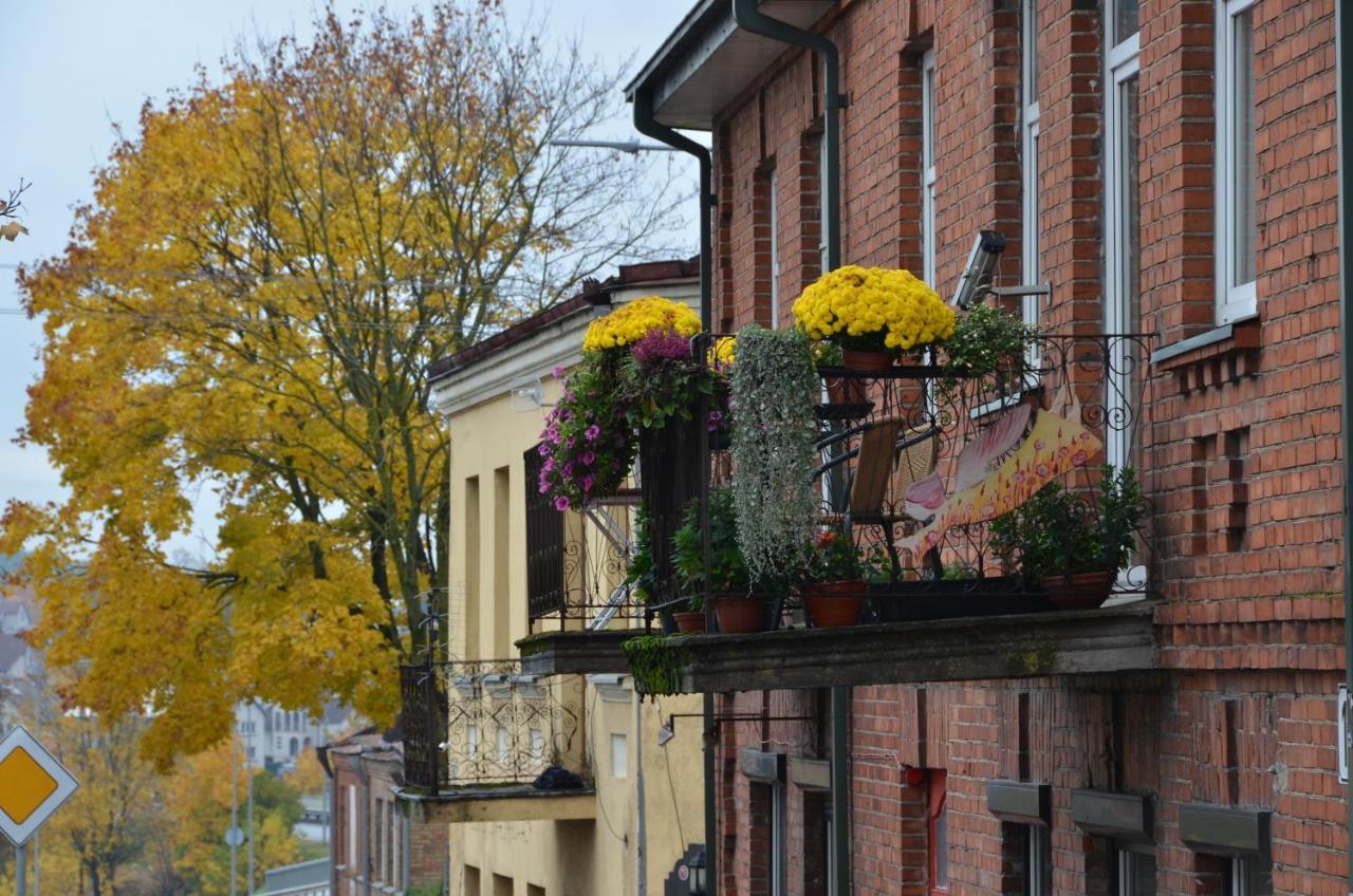 Old Town Apartments アリートゥス エクステリア 写真